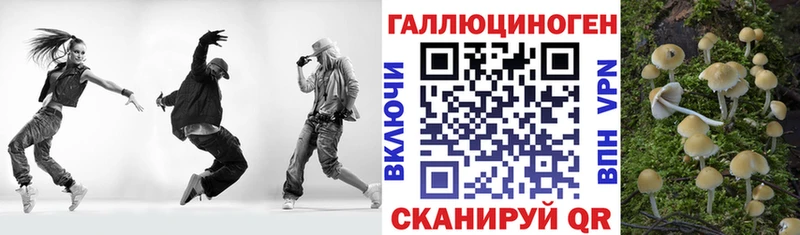 Галлюциногенные грибы Psilocybine cubensis  Купить где  Воркута 