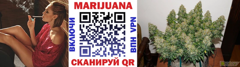 Купить где Воркута Марихуана Amnesia